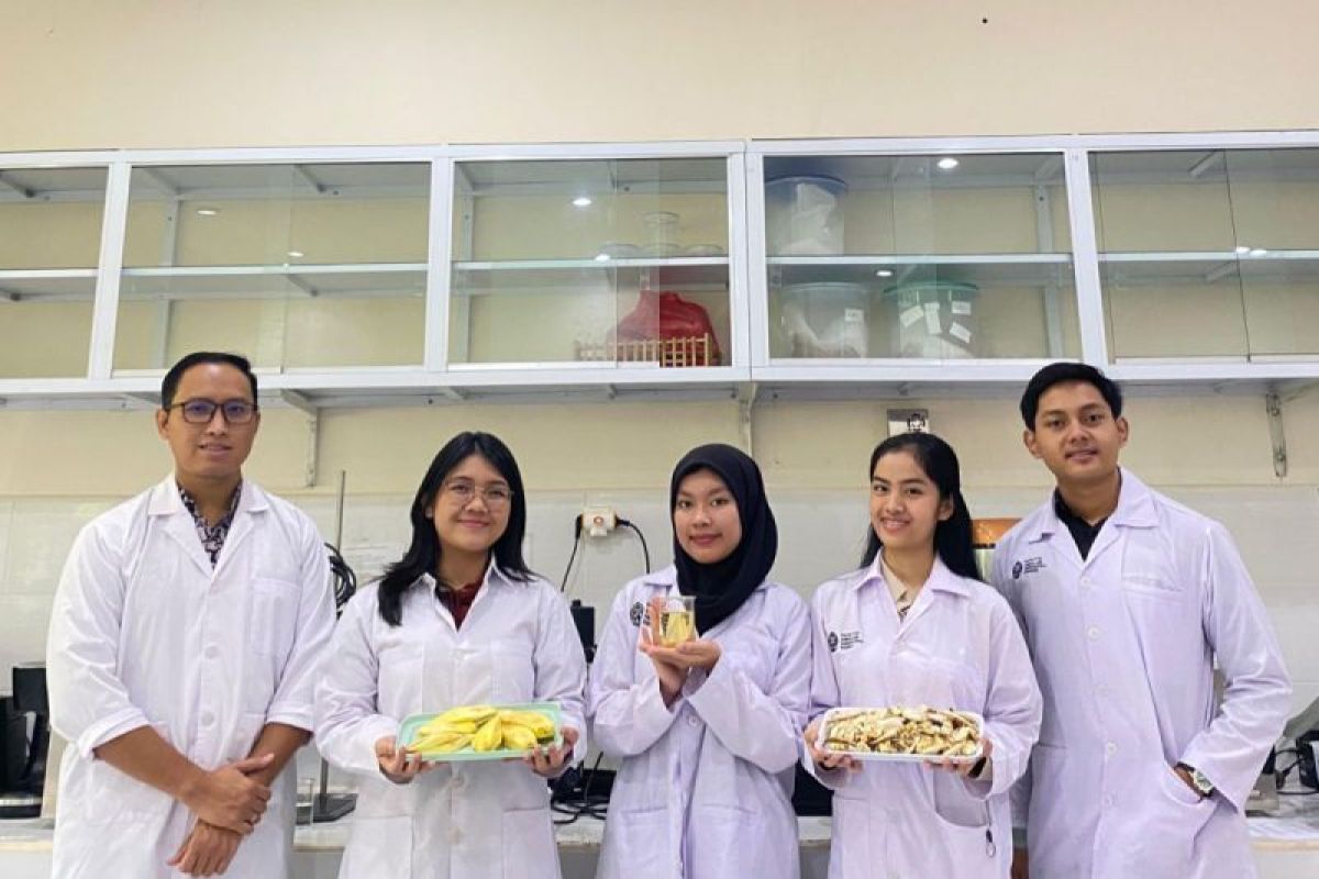 Empat mahasiswa Undip ciptakan pengganti Cocoa Butter dari biji mangga