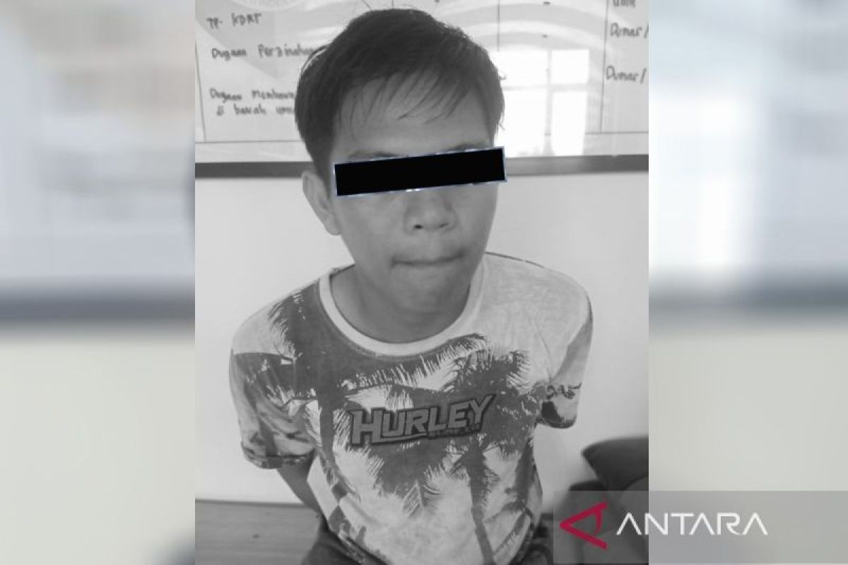 Polisi tangkap seorang pria di Kapuas setubuhi mantan pacar masih di bawah umur
