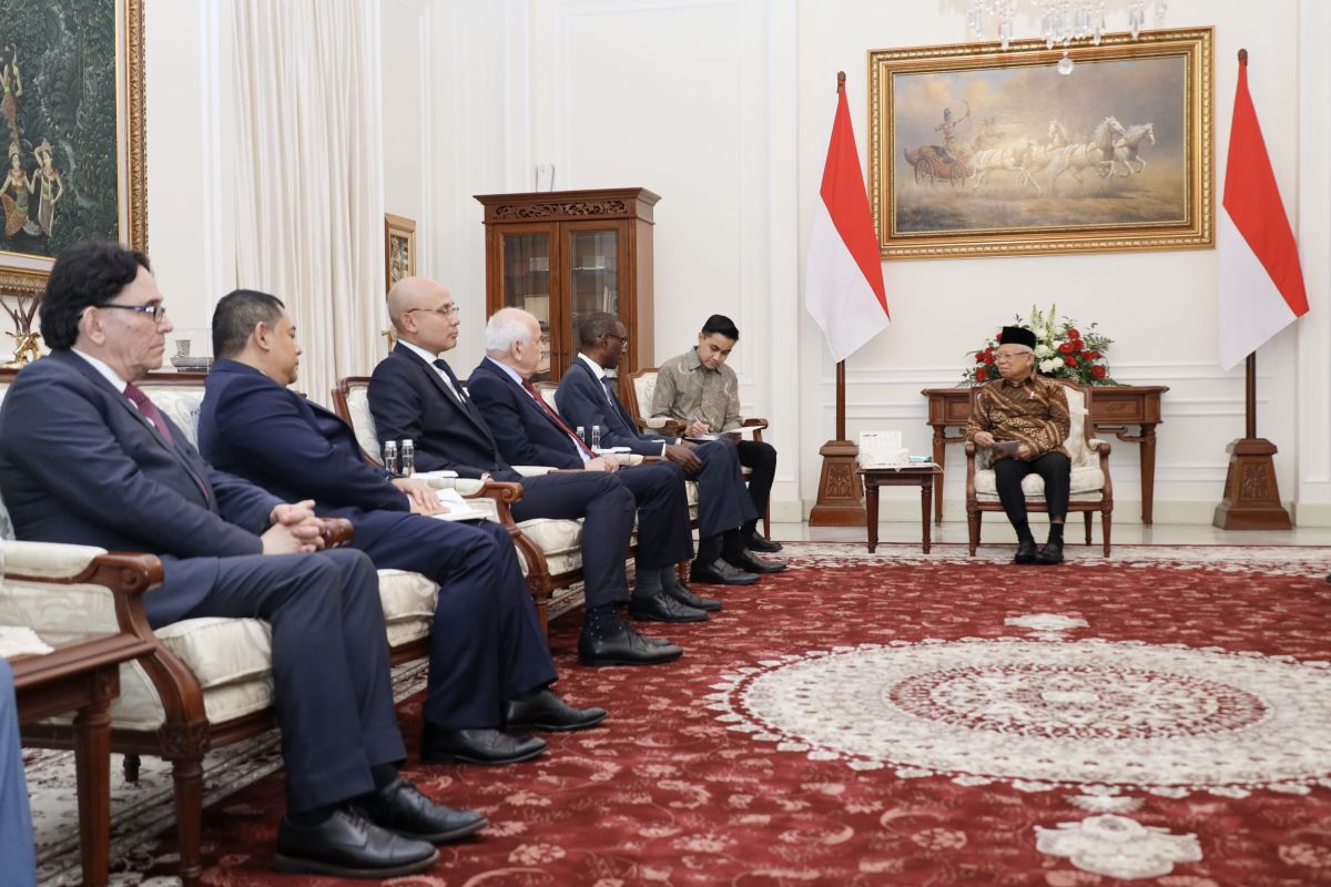 UN Palestine Committee discusses support for Gaza with Indonesian VP