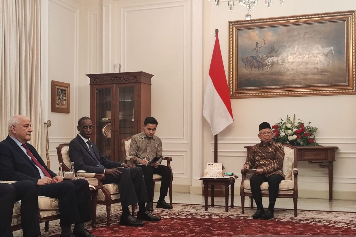 UN Palestine Committee  discusses support for Gaza with Indonesian VP