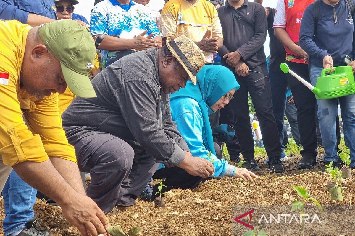 Gubernur Papua Barat canangkan penanaman komoditas penyumbang inflasi