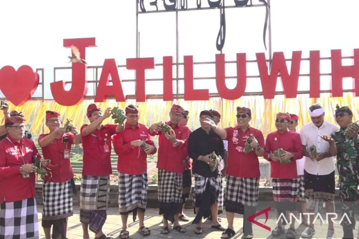 Bupati Tabanan buka Festival Jatiluwih bantu promosikan objek wisata