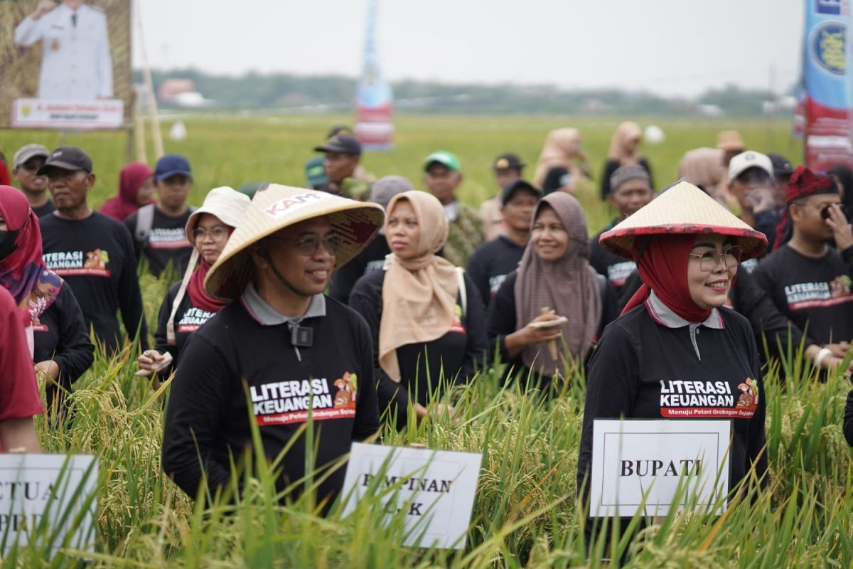 OJK Jateng dorong peningkatan akses keuangan sektor pertanian