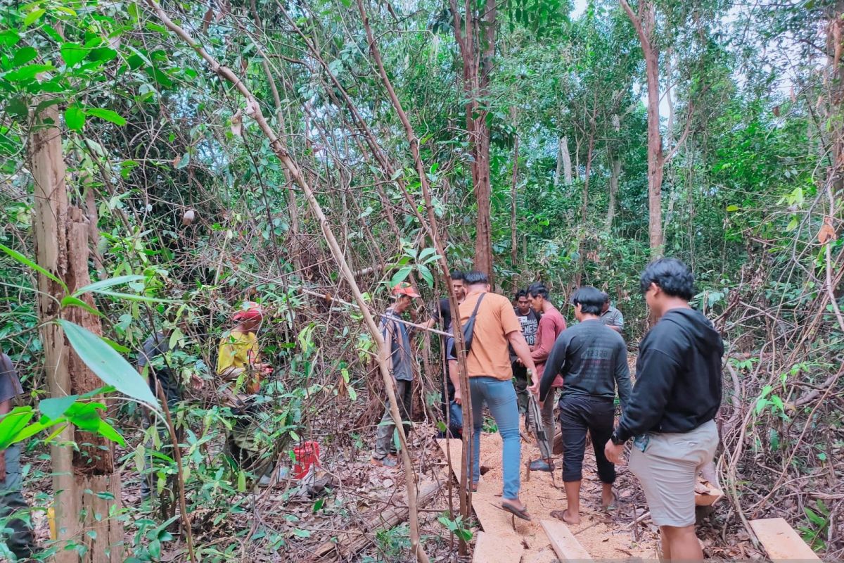 Polisi tangkap pelaku pembalakan liar Hutan Menumbing Bangka Belitung