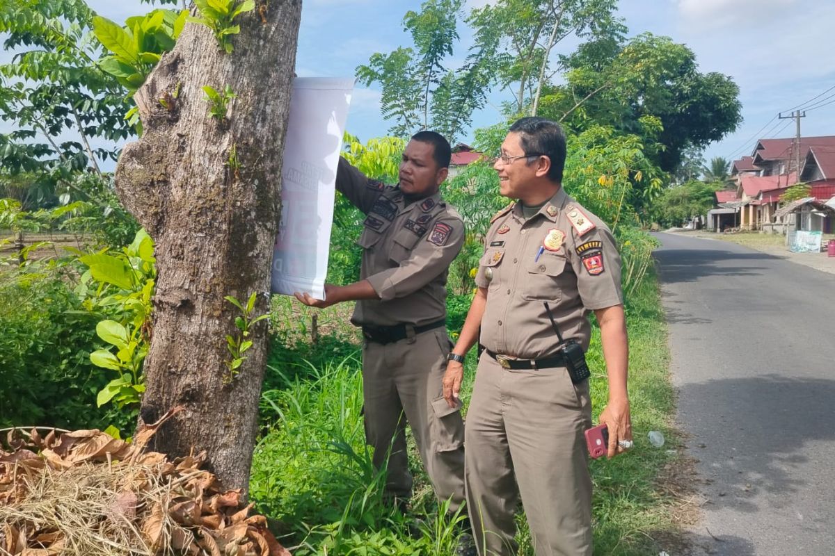 Satpol PP Damkar Agam tertibkan spanduk calon anggota DPD RI di pohon pelindung