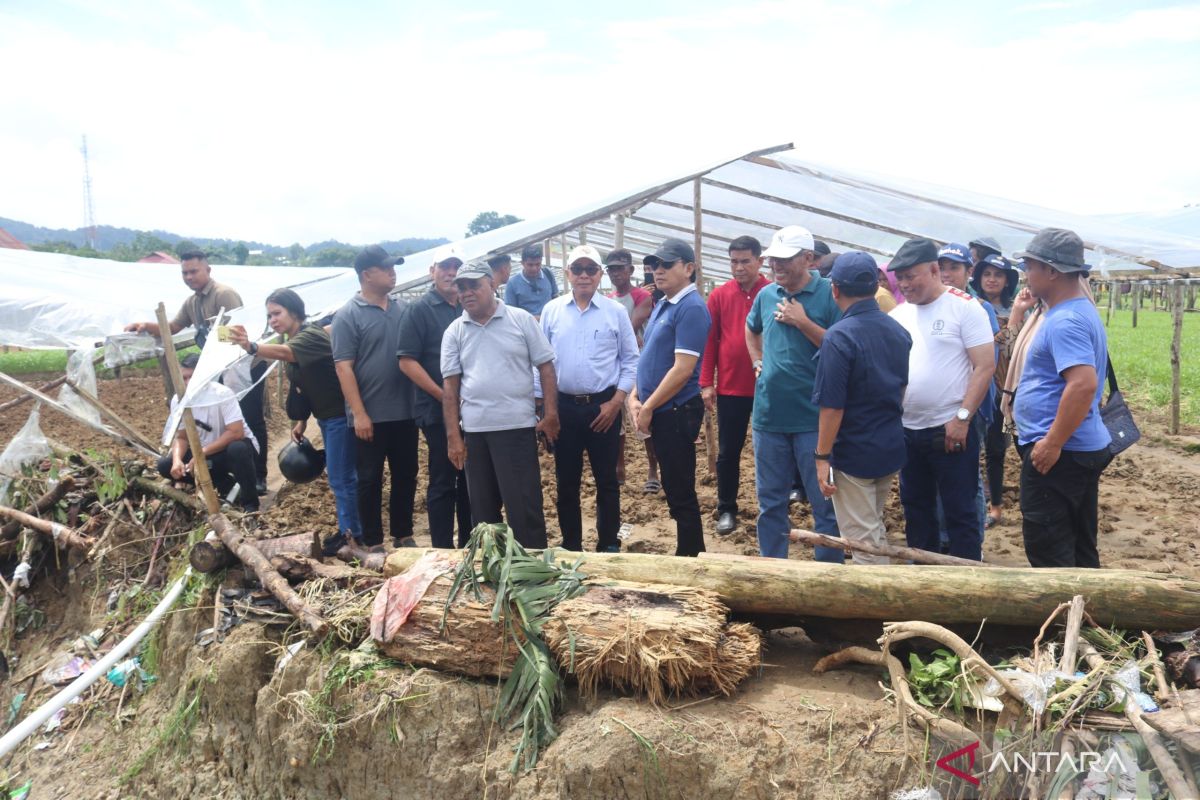 Pemprov Maluku ganti tanaman warga yang rusak terdampak banjir Waiheru