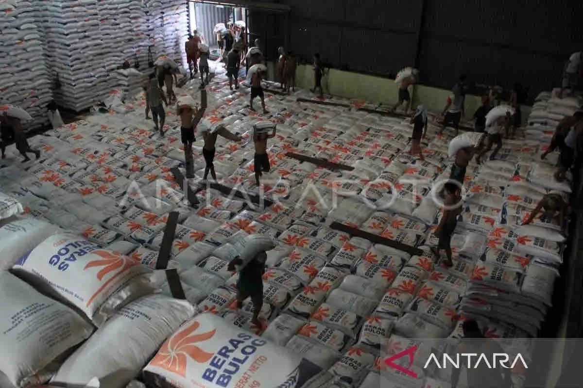 Impor dilakukan tapi tetap utamakan penyerapan beras lokal