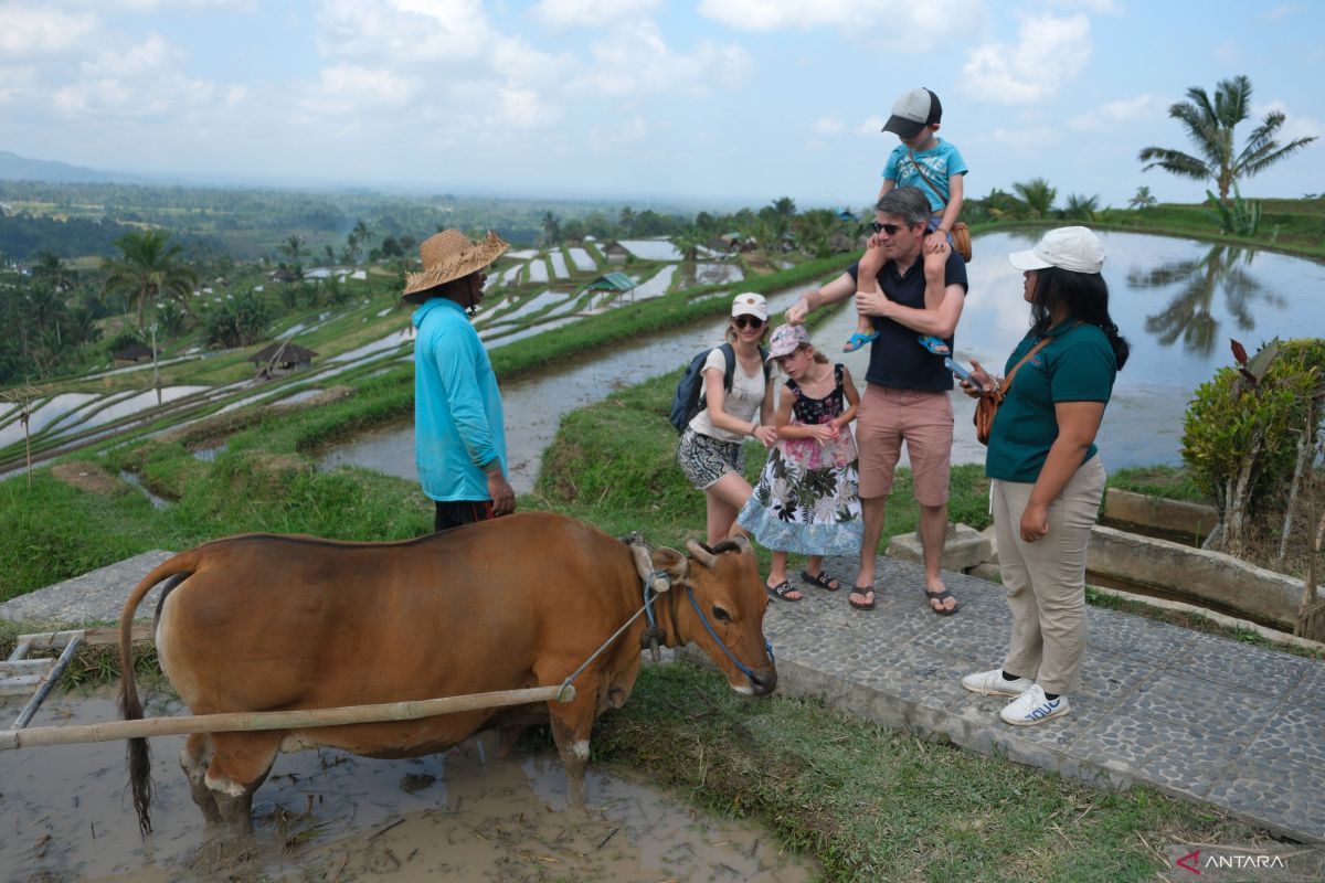 Ini biaya hidup bila tinggal di Bali