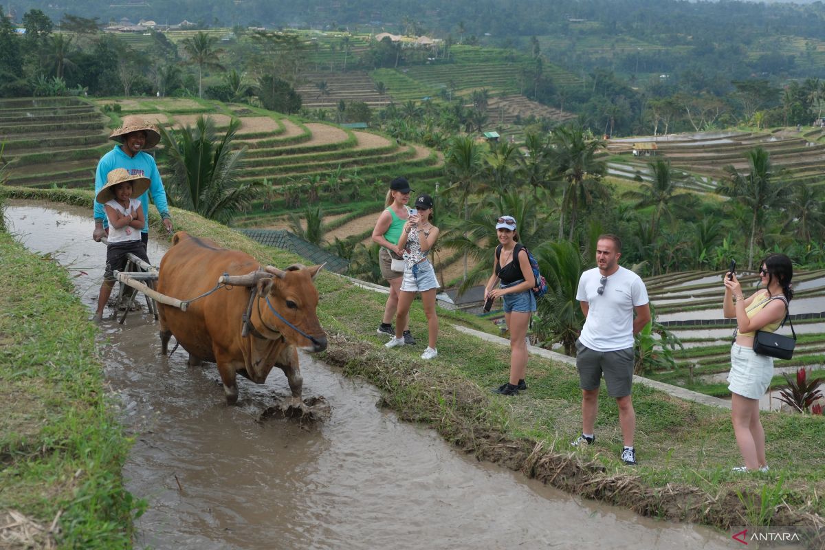 Preserving Bali's Subak system vital amid challenges: deputy minister