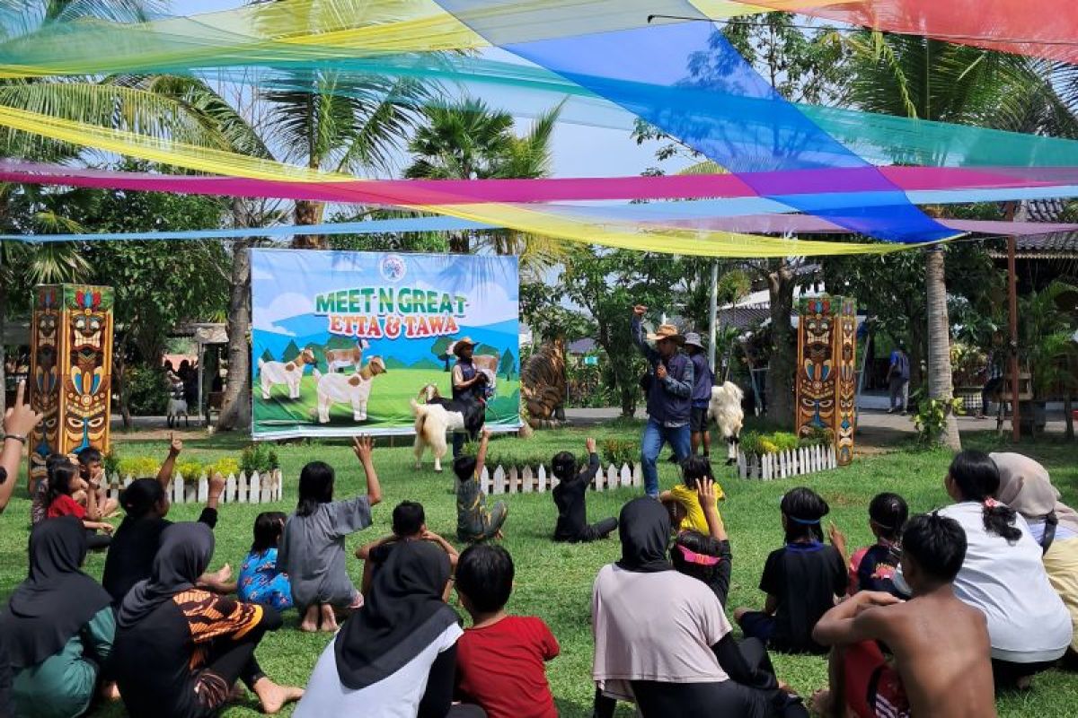 Wisata edukasi Kambing Etawa seru di Nusantara Edupark Madiun