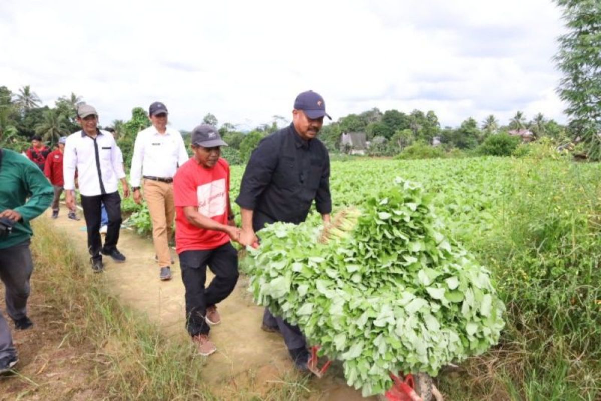 Bertani tidak harus berlumur lumpur