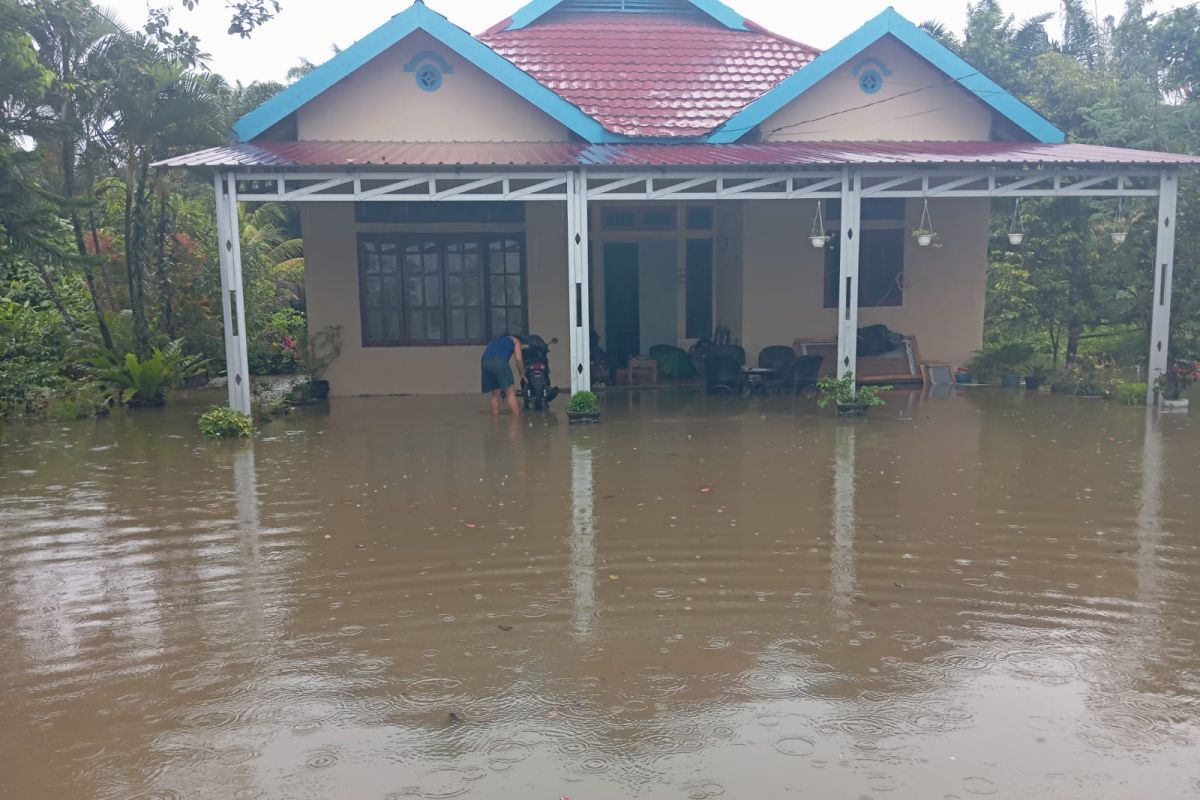 BPBD catat 210 jiwa terdampak banjir di Desa Sampeantaba Morowali