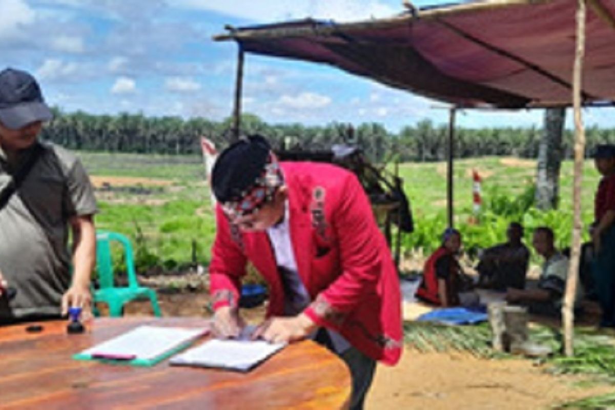 PTPN lakukan baremah kearifan lokal suku Dayak Kalimantan