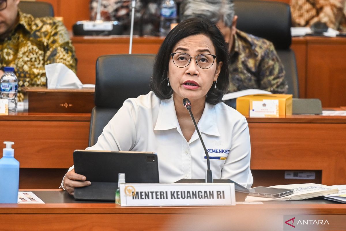 Menkeu yakin APBN 2024 punya modal transisi yang kuat