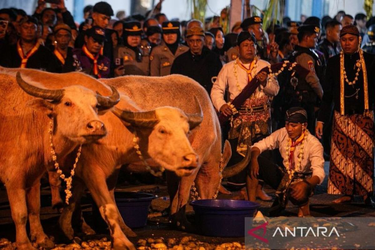 Kirab Malam Satu Suro Di Keraton Kasunanan Surakarta Hadiningrat ...