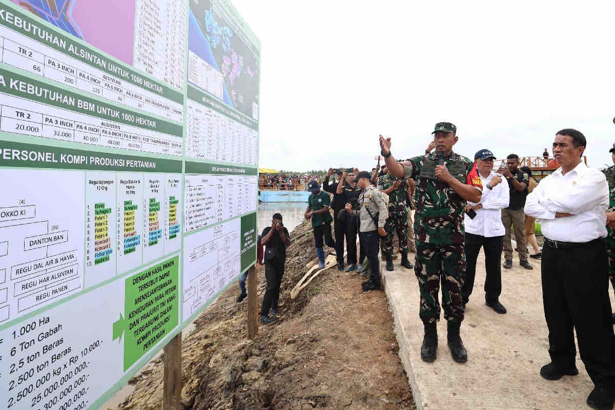 Mentan sebut progres lahan pertanian di Merauke berjalan baik