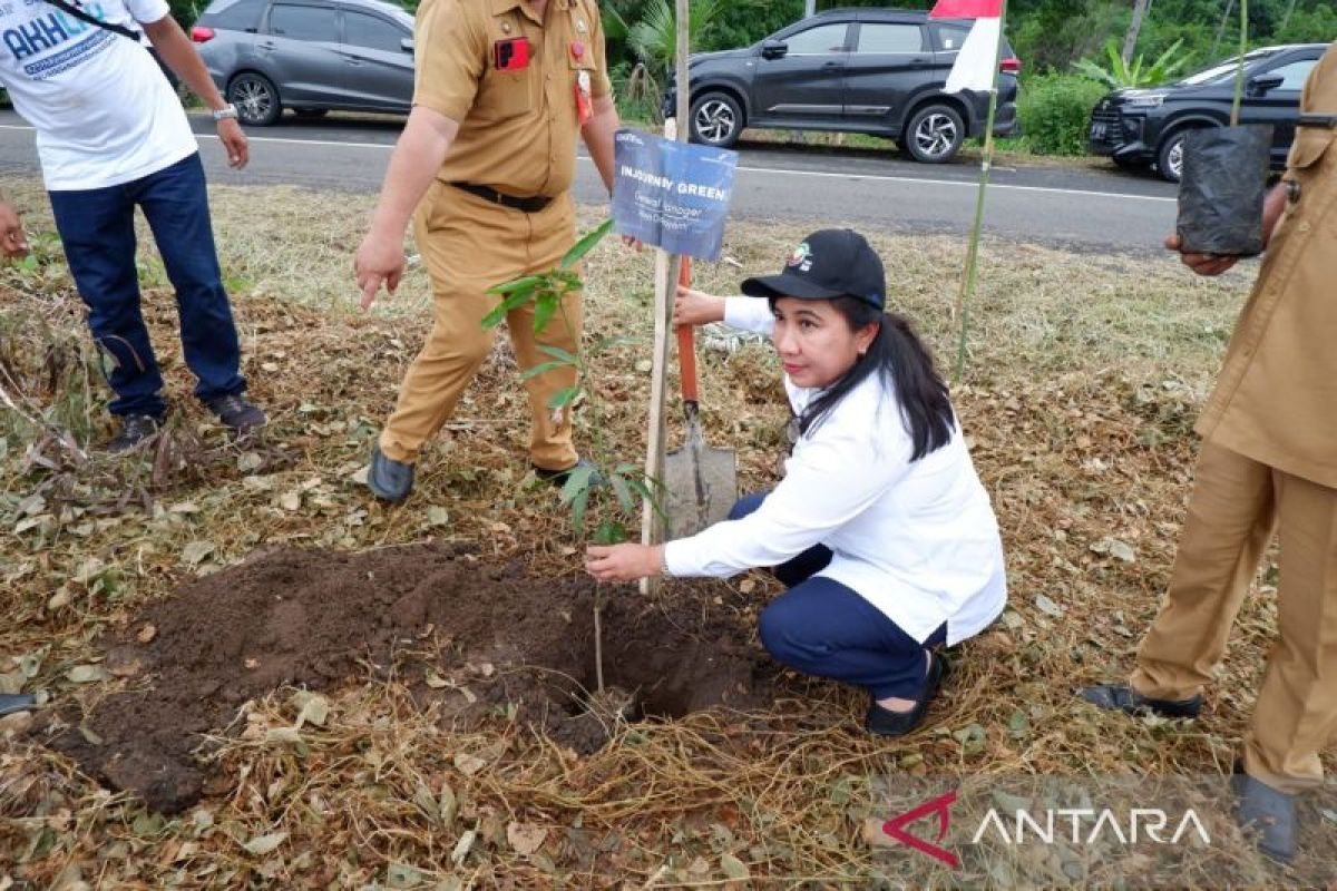 BUMN holding lakukan penghijauan di Kawasan Ekonomi Khusus Pariwisata Likupang