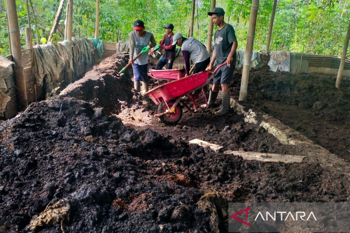 Kelompok tani di Rejang Lebong olah kulit kopi jadi pupuk kompos