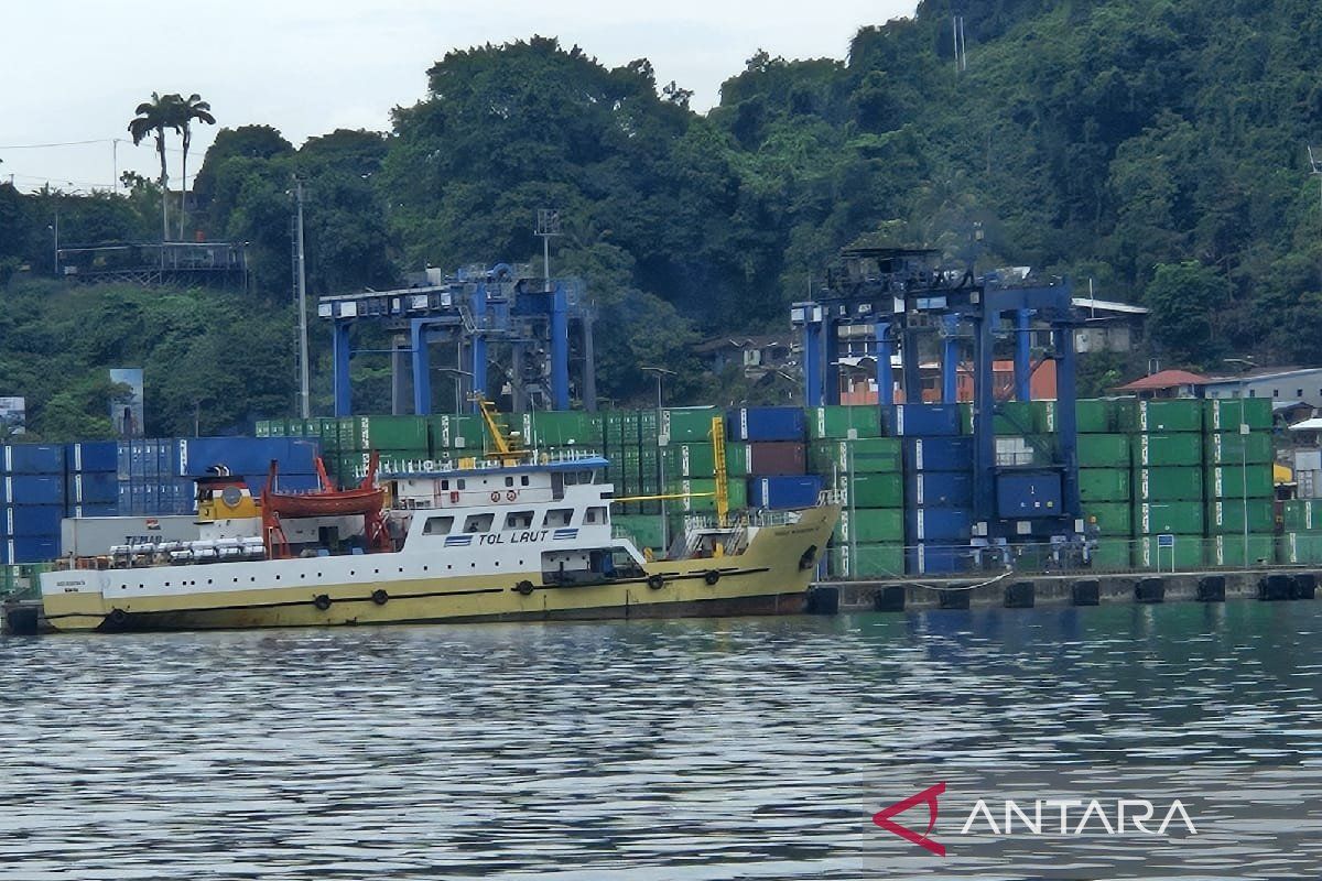 Pelindo Jayapura: Aktivitas bongkar muat semester I mencapai 42.883 TEU