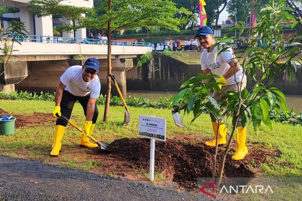 Pemkot Jakarta Timur tanami bantaran kanal banjir timur dengan pohon produktif