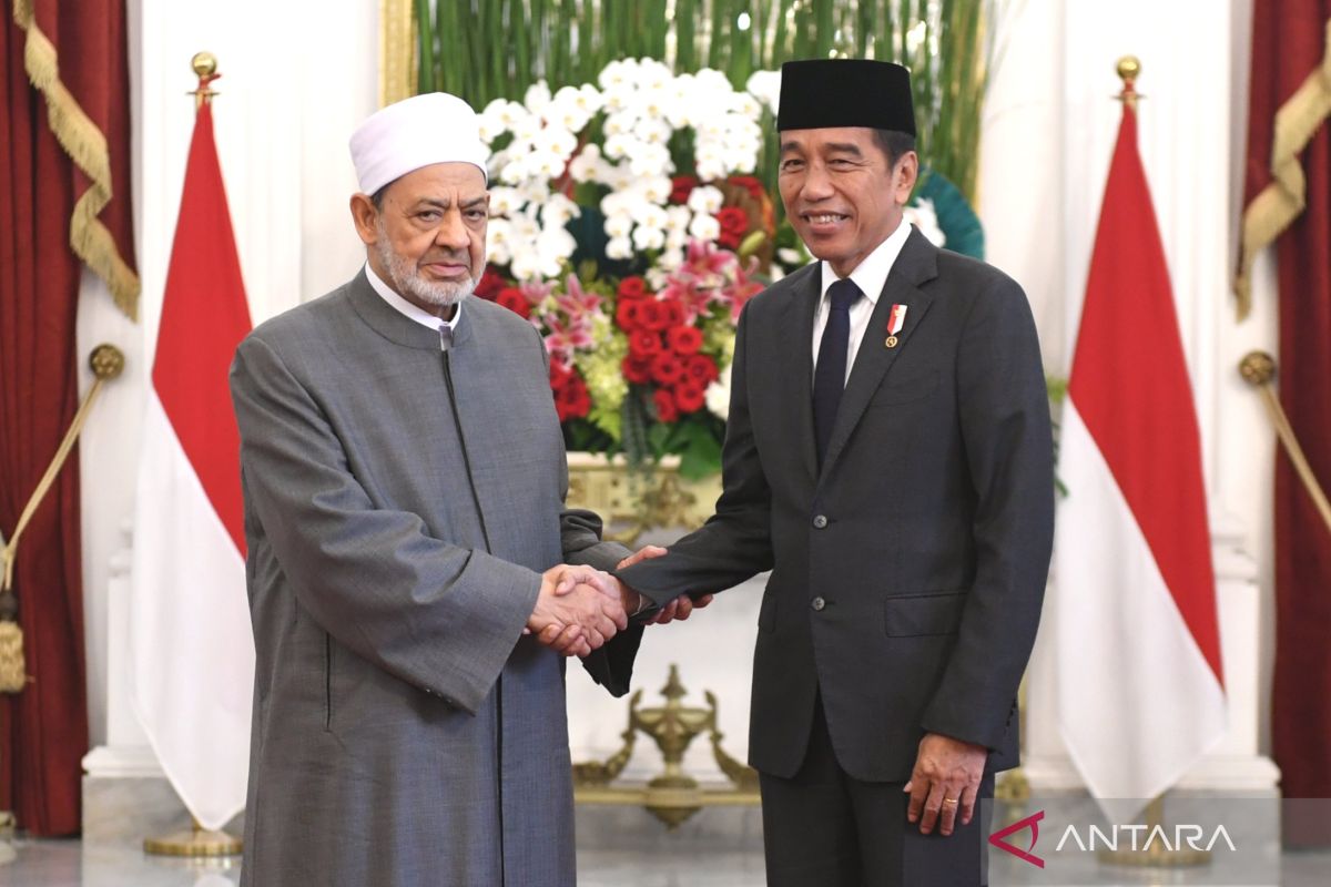 Presiden dan Grand Syekh diskusikan inisiatif global untuk perdamaian