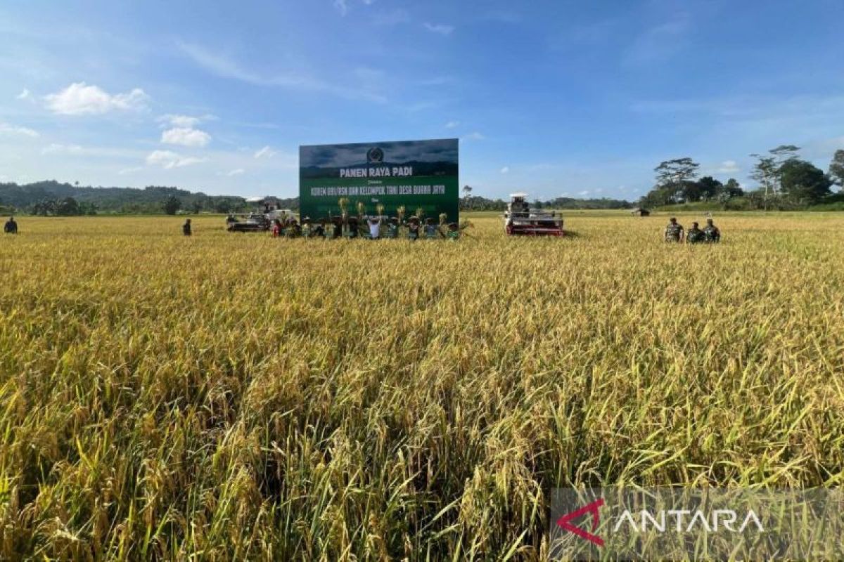 DPTPH Kaltim upayakan peningkatan efektivitas  sistem irigasi pertanian