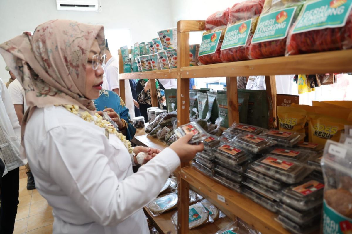 Pemprov Banten majukan geo produk UMKM di Geopark Bayah Dome