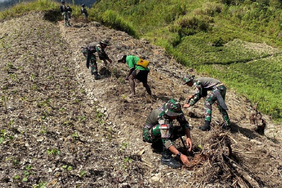 Satgas Yonif 753/AVT bantu buka lahan pertanian warga di Kalome