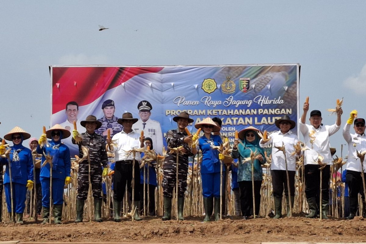 Mentan Sebut Kolaborasi Kunci Keberhasilan Antisipasi Krisis Pangan ...