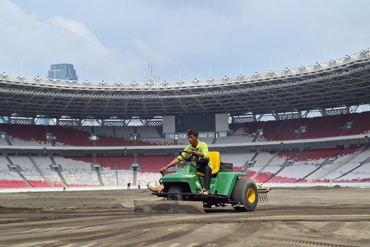 PP GBK targetkan revitalisasi rumput SUGBK rampung bulan Oktober ...