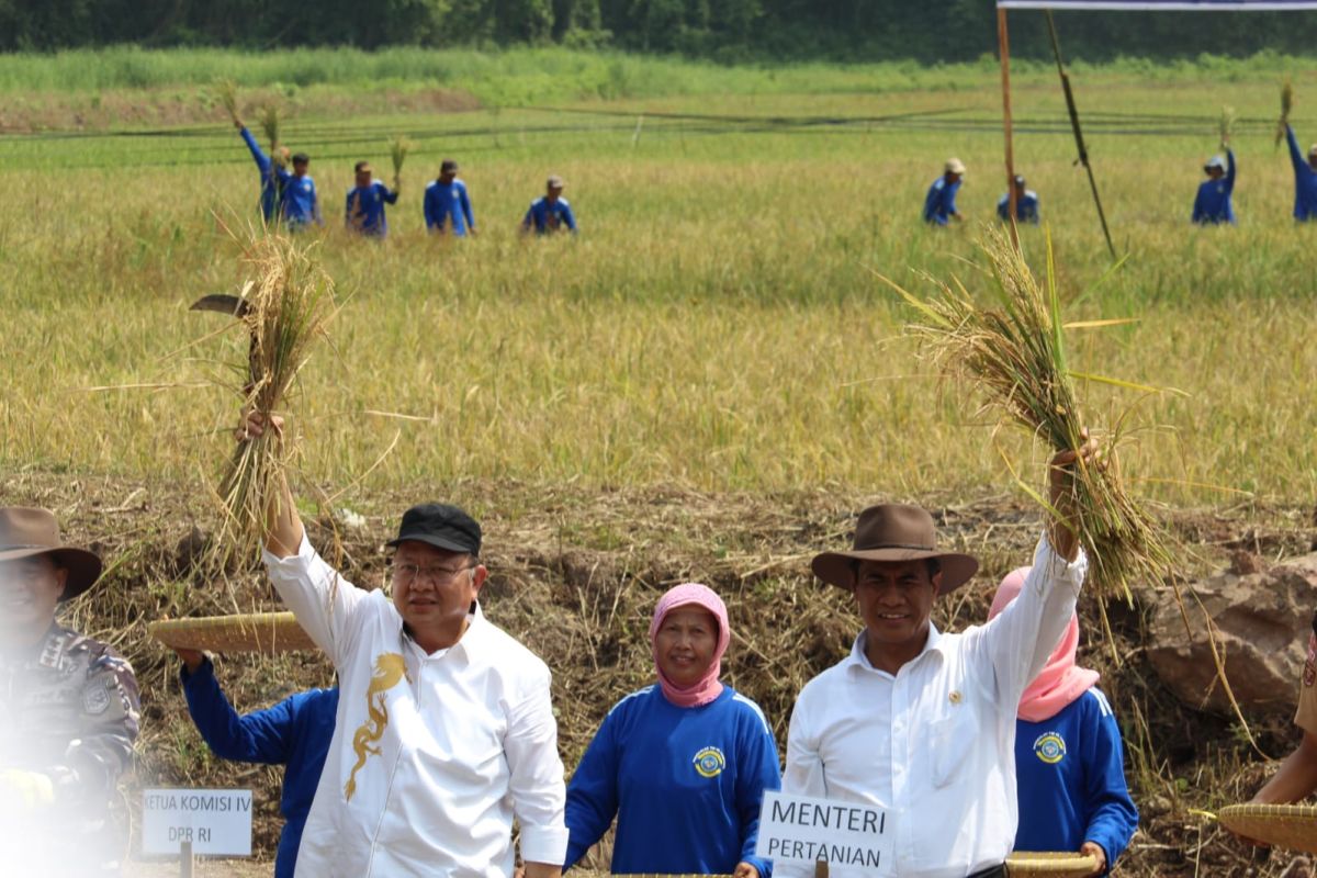 Mentan: Beri ruang petani untung maka produksi terus meningkat