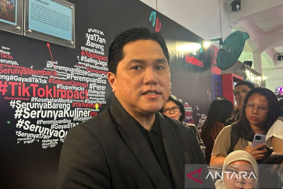 Tata kelola BUMN diakui OECD, begini penjelasan Erick Thohir