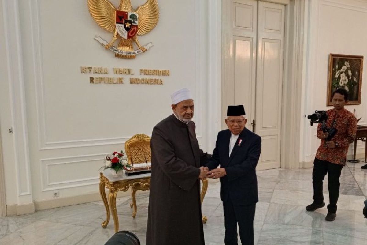 Wapres terima kunjungan Grand Syekh Al Azhar