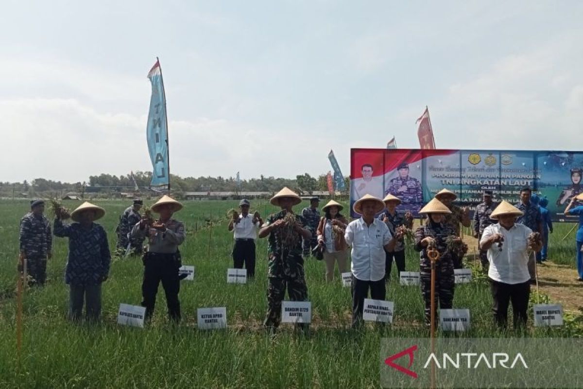 Bantul dan TNI AL wujudkan ketahanan pangan dukung petani lahan pasir