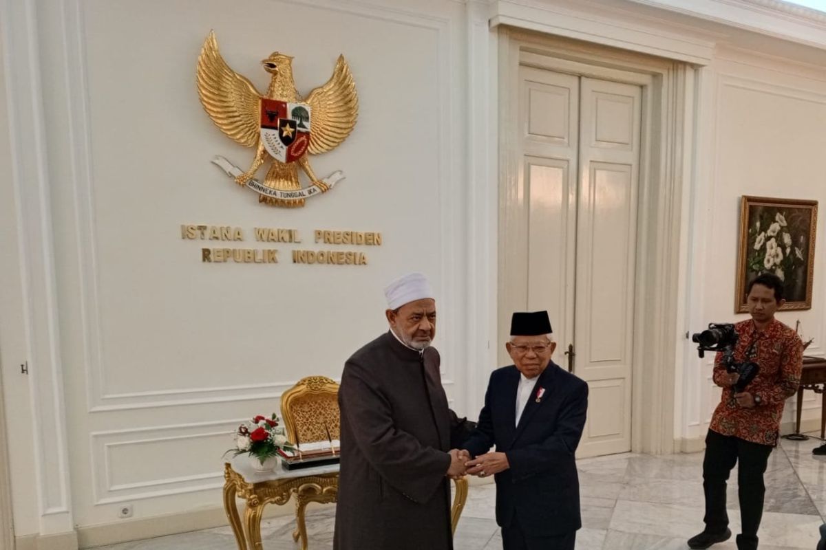 Wapres sambut baik inisiatif pembentukan Markaz Tathwir Al Azhar di RI