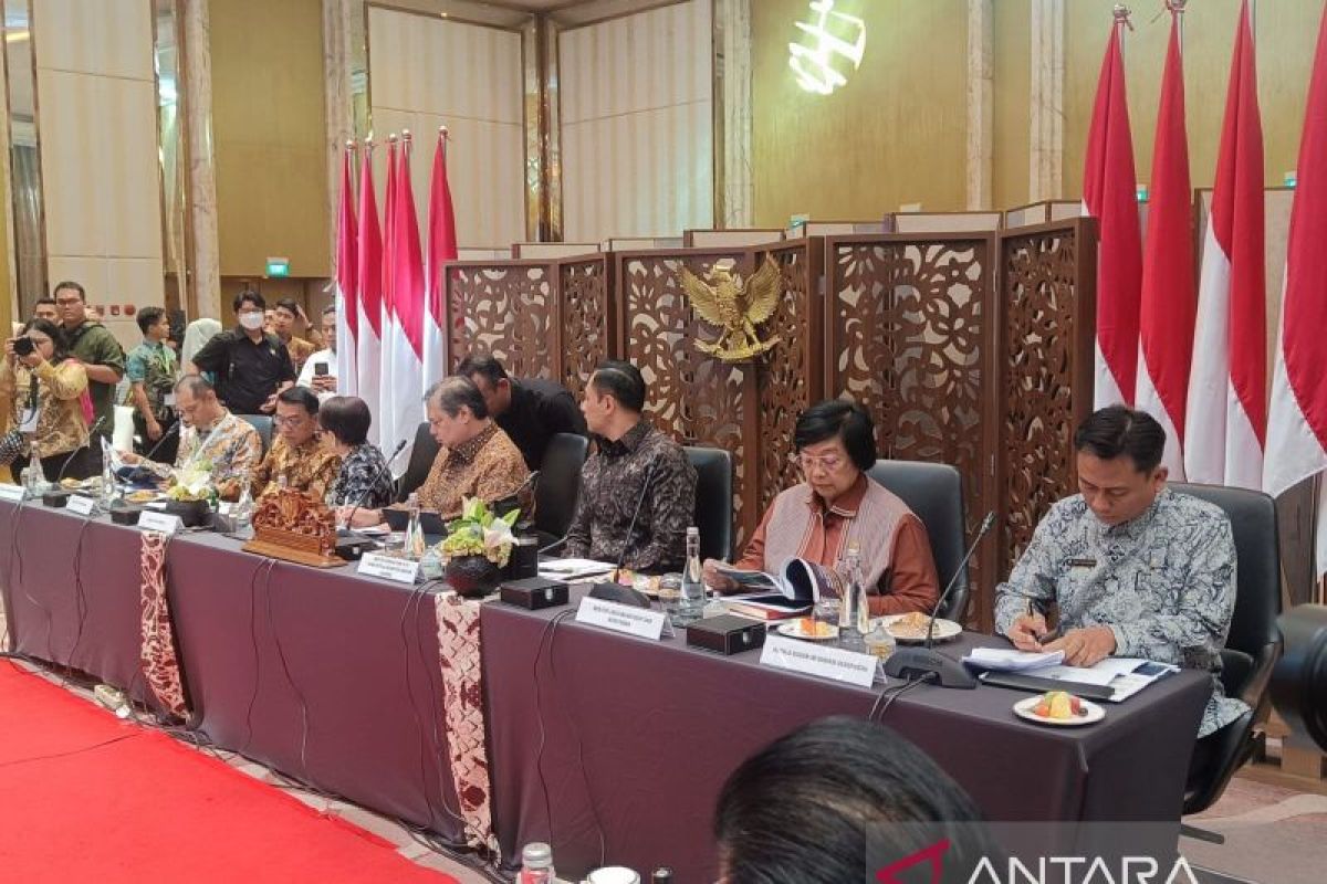 One Map Policy atasi tumpang tindih lahan hingga 57 juta hektar