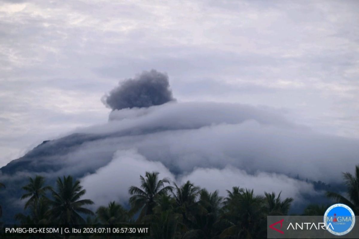 Gunung Ibu mengalami erupsi dengan amplitudo 10 mm selama satu menit