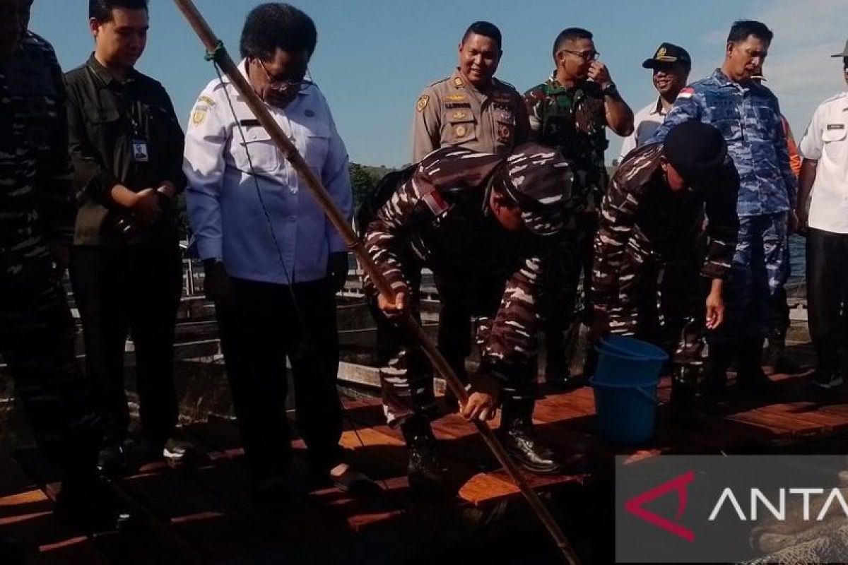 Budi daya mujair langkah percepatan ketahanan pangan