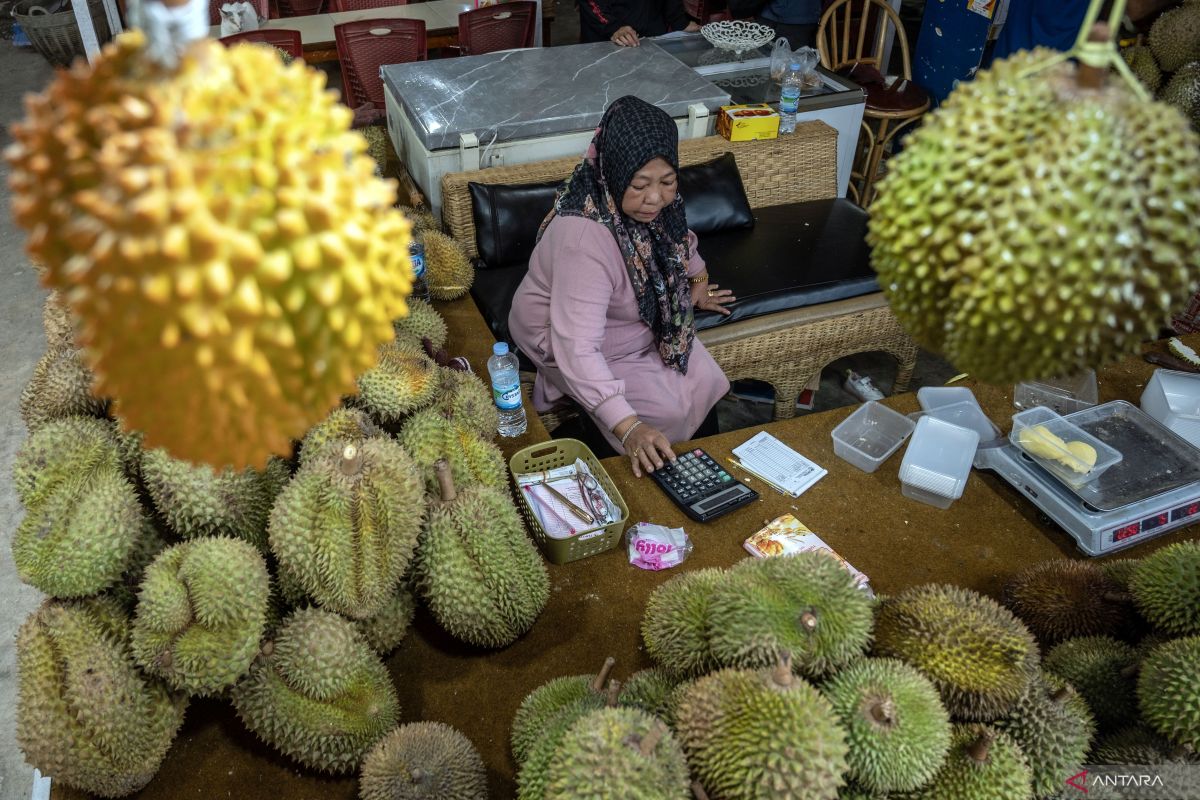 DPRD Seruyan upayakan usulan masyarakat tentang bantuan bibit durian