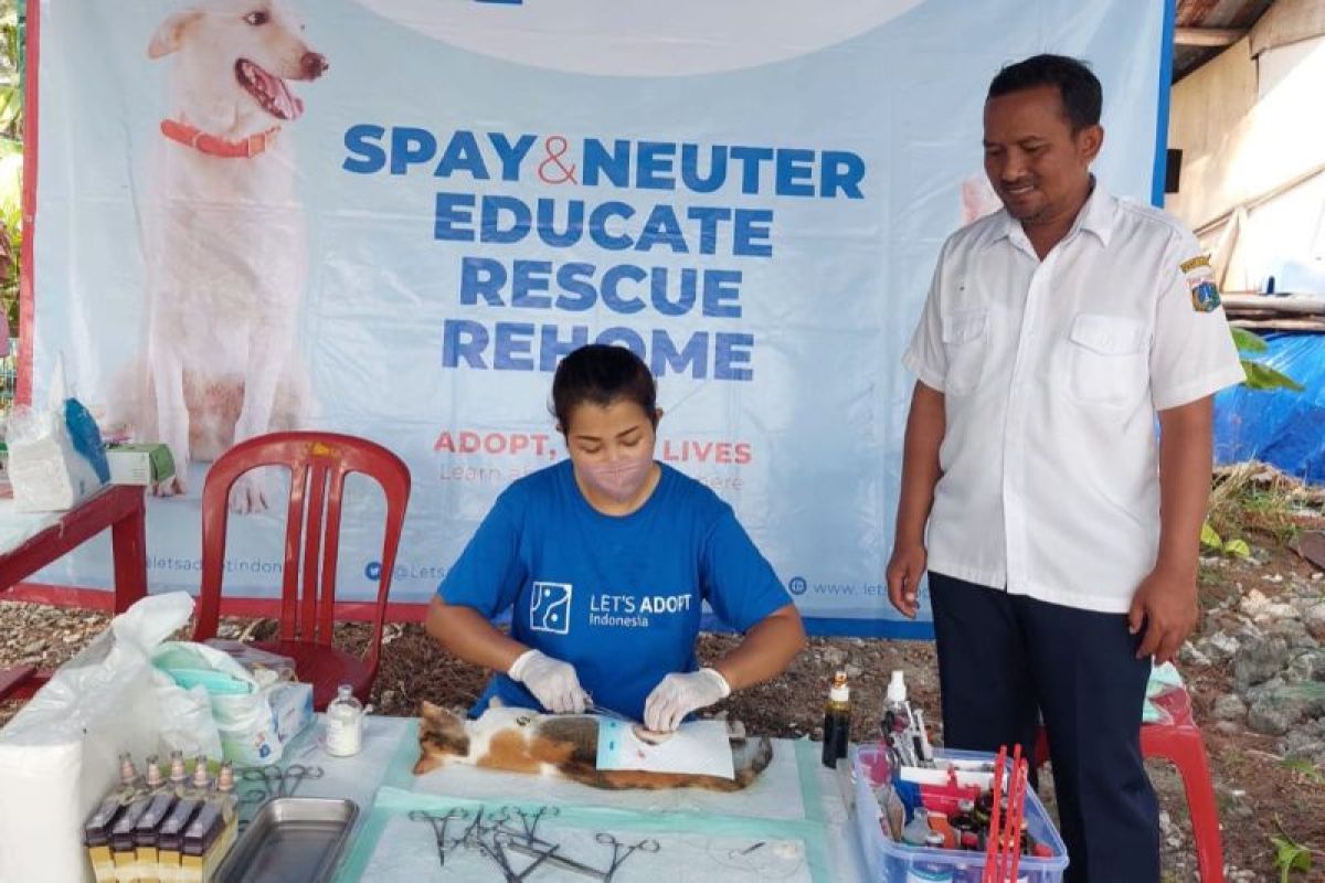 Kepulauan Seribu cegah penyebaran rabies dengan vaksinasi hewan liar