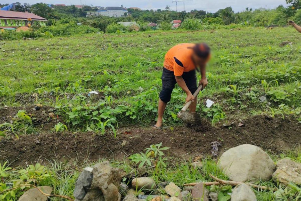 Lapas Manokwari libatkan warga binaan dukung program ketahanan pangan