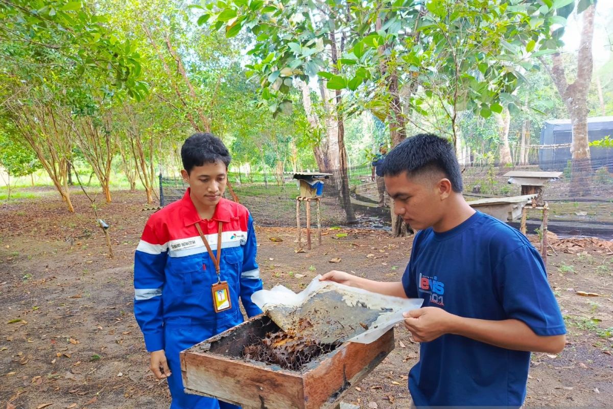 Pertamina serahkan 20 koloni madu kelulut ke Hutan Raya Tuatunu