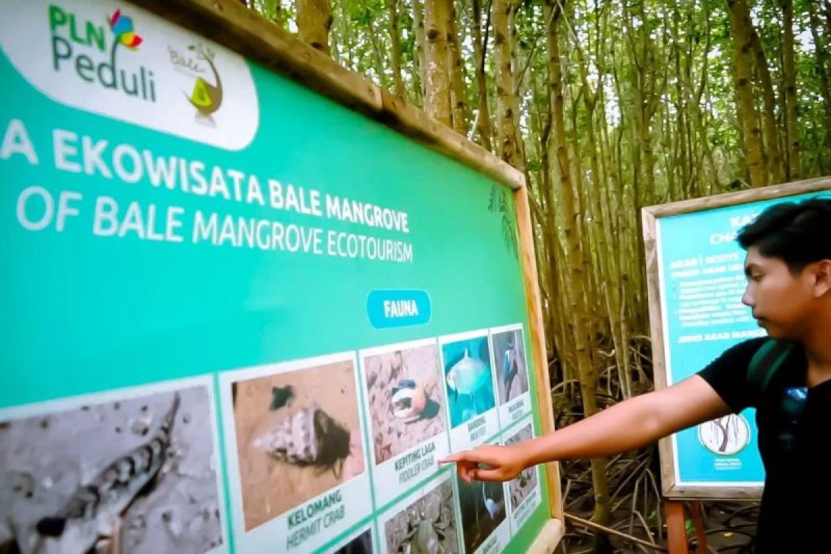 Bale Mangrove Jerowaru binaan PLN NTB masuk 100 desa wisata terbaik