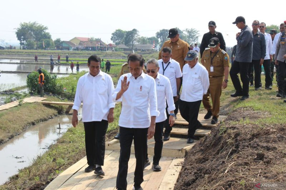 Presiden ingin hasil pertanian bisa penuhi kebutuhan di Lamsel