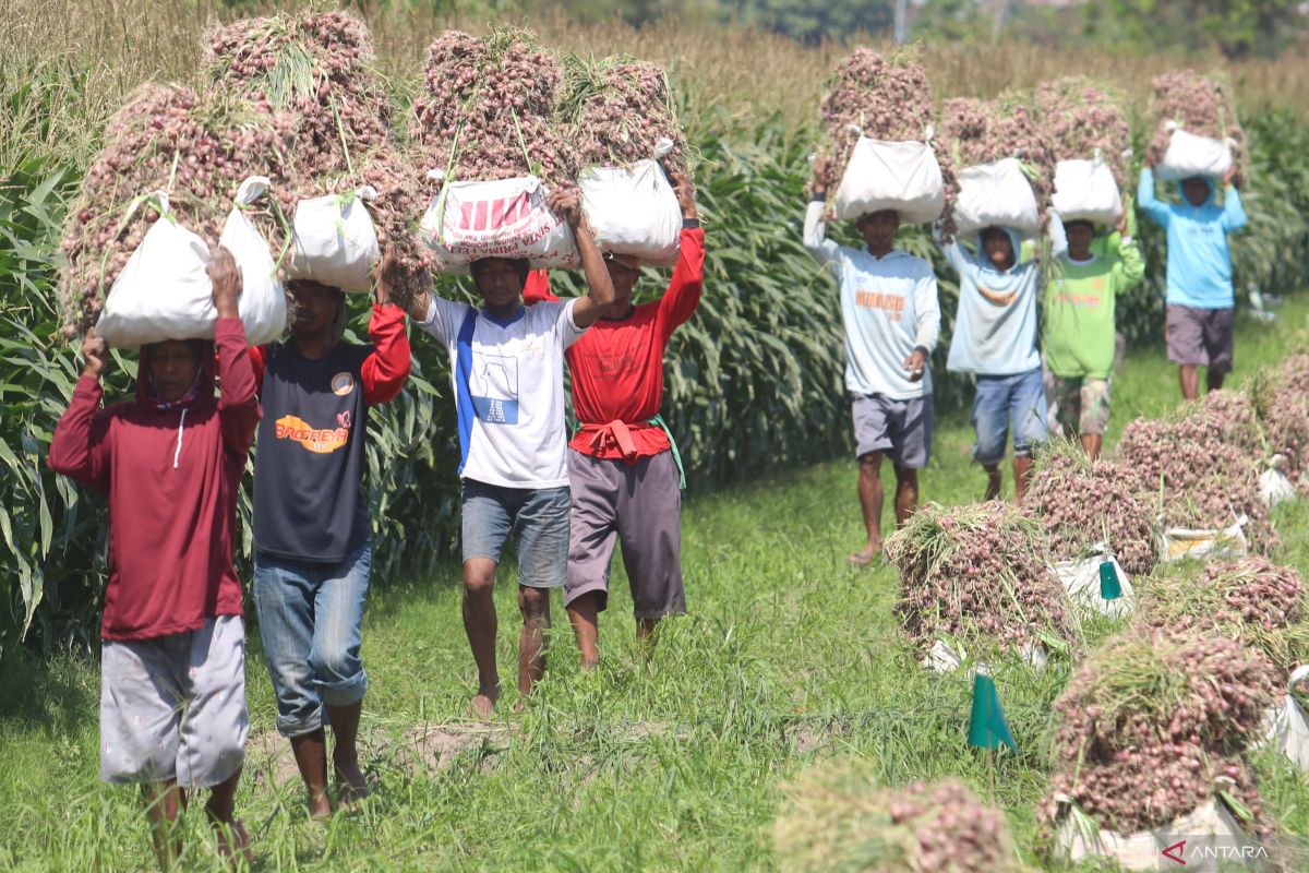 European investors invited to develop domestic agriculture