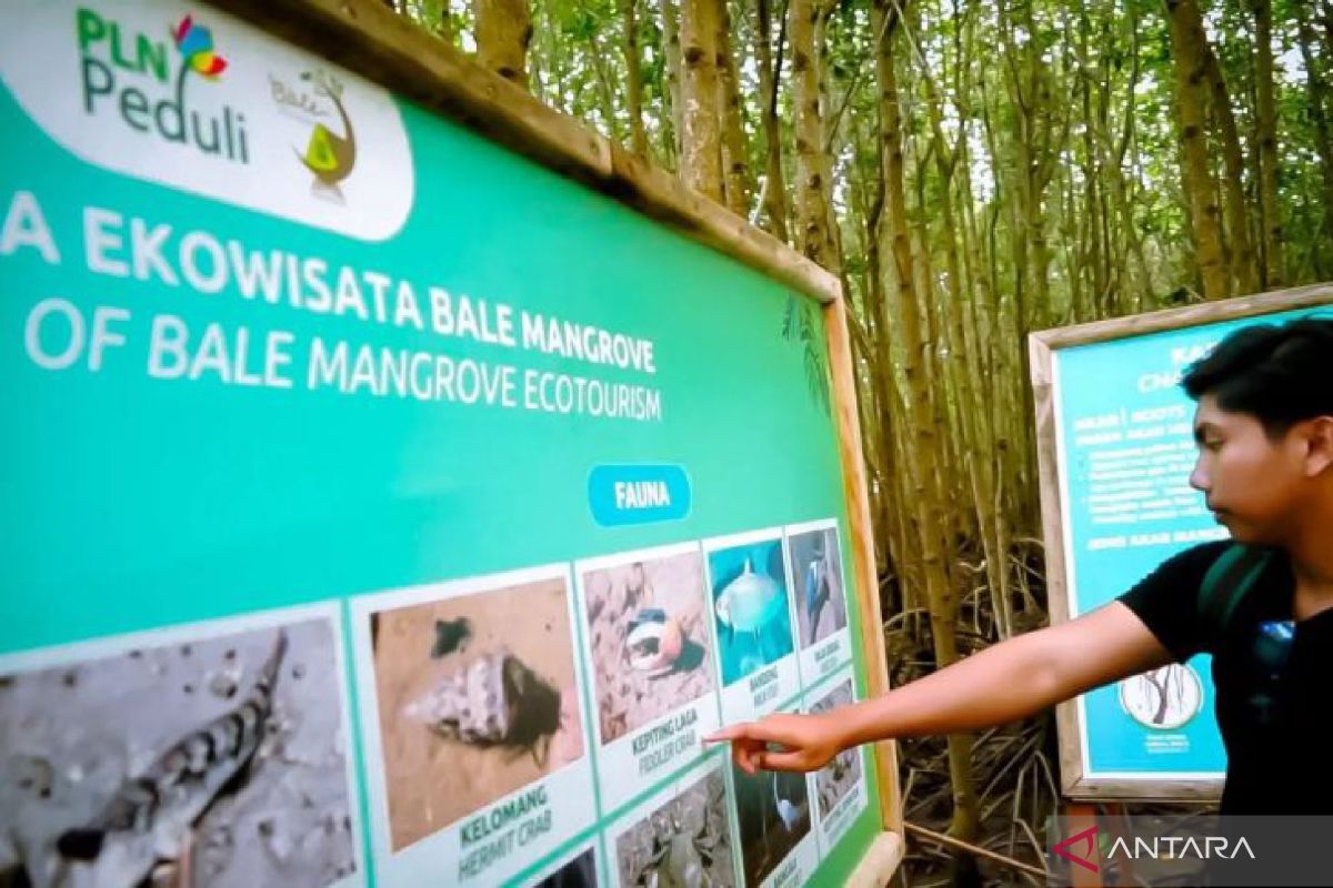 Bale Mangrove Jerowaru binaan PLN di NTB masuk 100 desa wisata terbaik