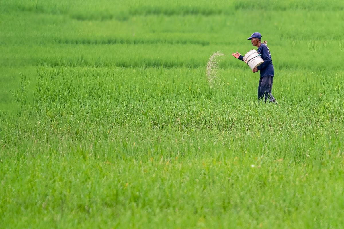 BPS Jatim: Nilai Tukar Petani September turun 0,33 persen