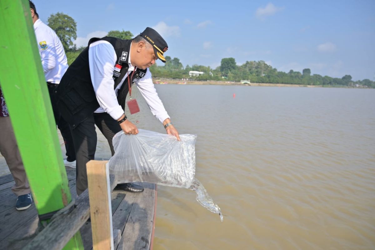 Pemkot Jambi tebar 22.550 benih ikan di kawasan wisata Danau Sipin