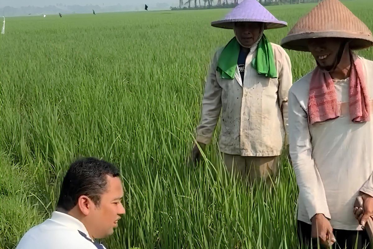 Besok ! Mantan Walikota Arief Wismansyah bagi-bagi beras di Pakuhaji