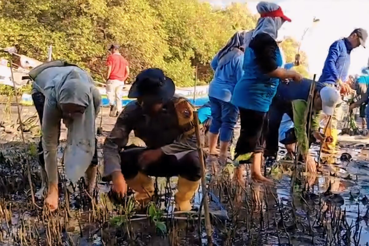 Polres Probolinggo jaga kelestarian lingkungan dengan tanam mangrove